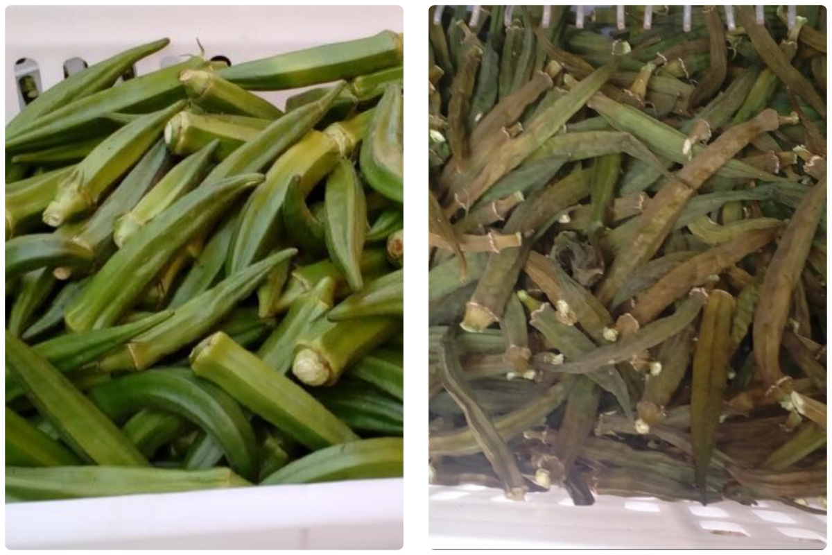 MeiYa Heat Pump Dryers: Revolutionizing Vegetable Dehydration for Superior Quality & Efficiency​