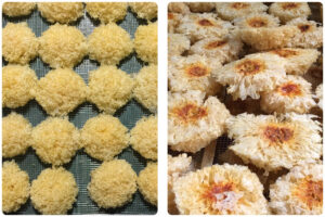 Optimizing White Fungus Drying with MeiYa Heat Pump Dryers​