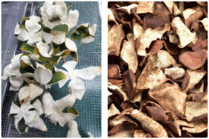 Optimizing Orange Peel Drying with MeiYa Heat Pump Dryer Technology​