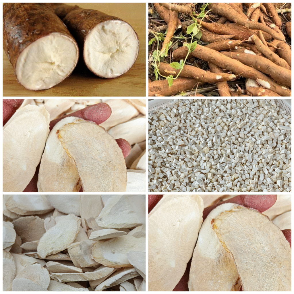 MeiYa Heat Pump Dryer: The Ultimate Solution for Cassava Drying