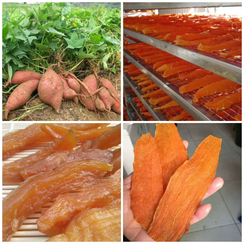 MeiYa Heat Pump Dryer: The Advanced Solution for Sweet Potato Drying