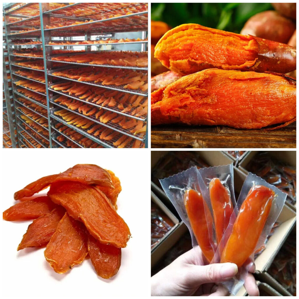 MeiYa Heat Pump Dryer: The Advanced Solution for Sweet Potato Drying