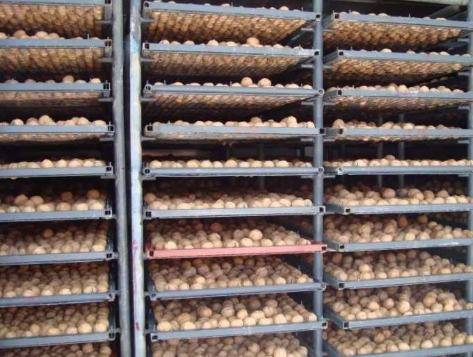 MeiYa Heat Pump Dryer: The Optimal Solution for Walnut Drying