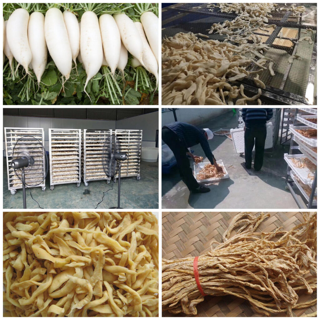 MeiYa Heat Pump Dryer: The Efficient Solution for White Radish Drying