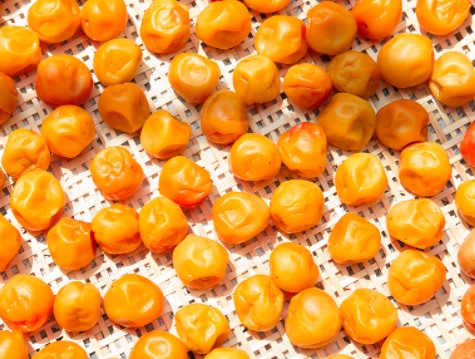 MeiYa Heat Pump Dryer: The Professional Solution for Plums Drying