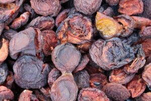 MeiYa Heat Pump Dryer: The Professional Solution for Plums Drying