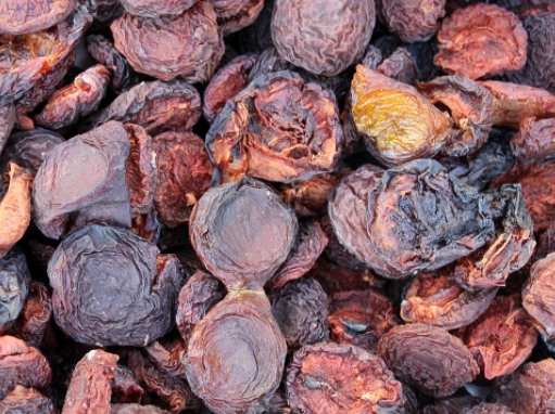 MeiYa Heat Pump Dryer: The Professional Solution for Plums Drying