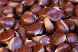 MeiYa Heat Pump Dryer: The Professional Solution for Chestnuts Drying