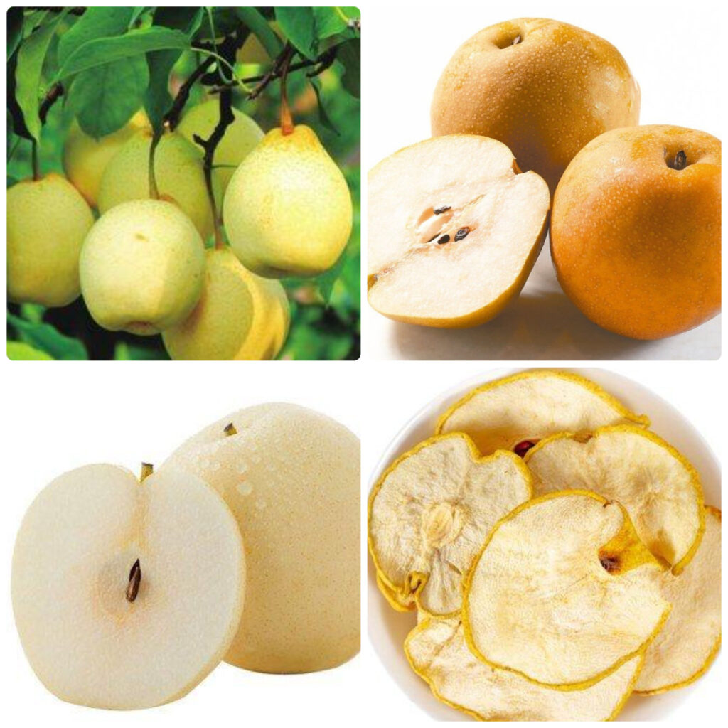 MeiYa Heat Pump Dryer: The Professional Solution for Pears Drying