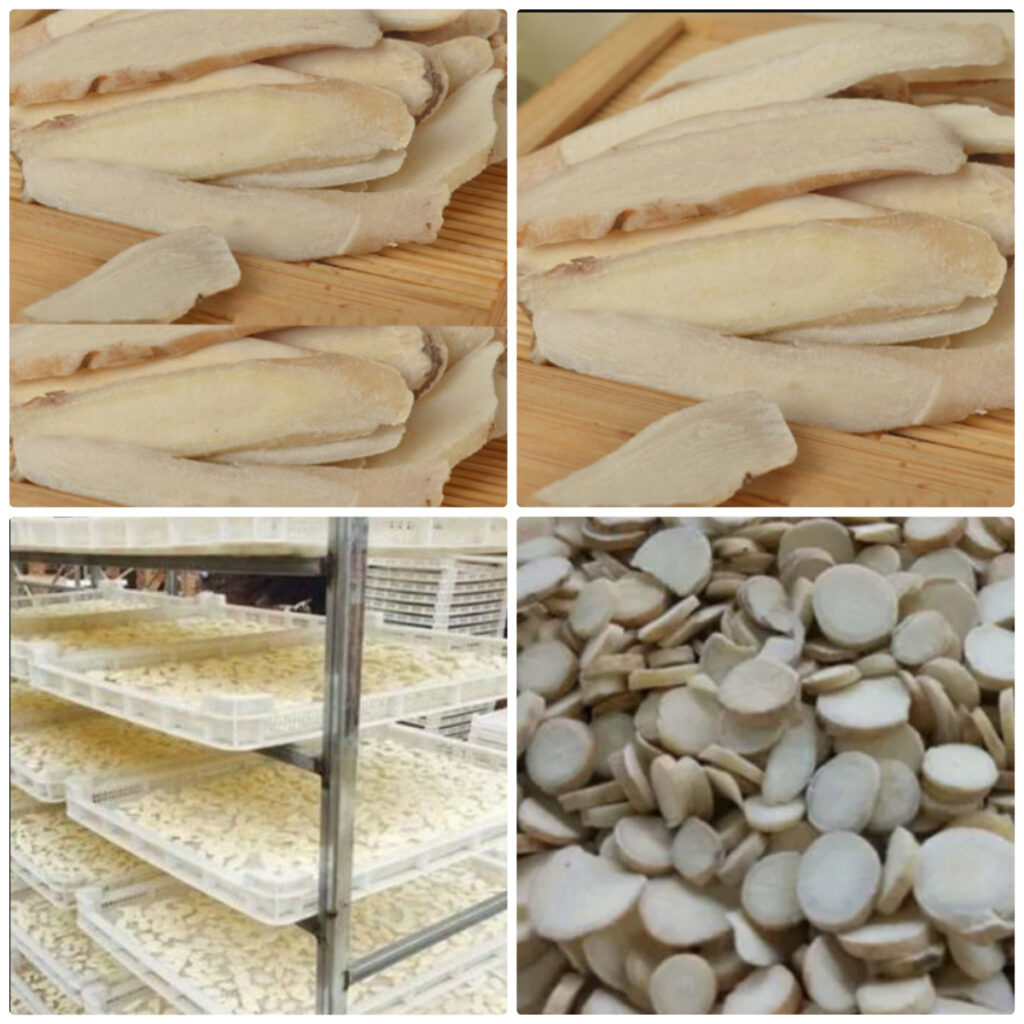 MeiYa Heat Pump Dryer: The Professional Drying Solution for White Peony Root (Bai Shao)