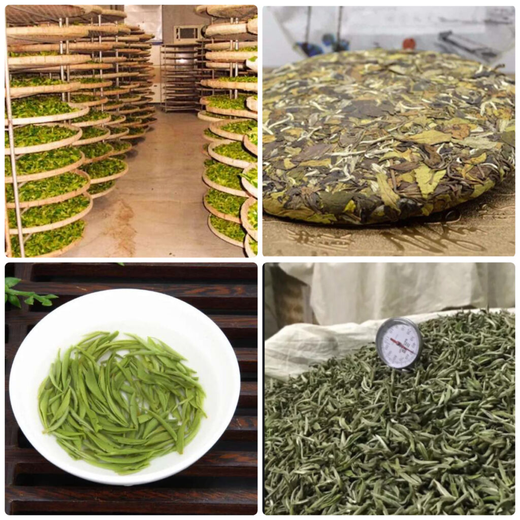 MeiYa Heat Pump Dryer: The Precision Solution for White Tea Drying