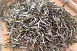 MeiYa Heat Pump Dryer: The Precision Solution for White Tea Drying