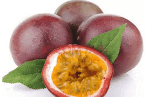 MeiYa Heat Pump Dryer: The Advanced Drying Solution for Passion Fruit