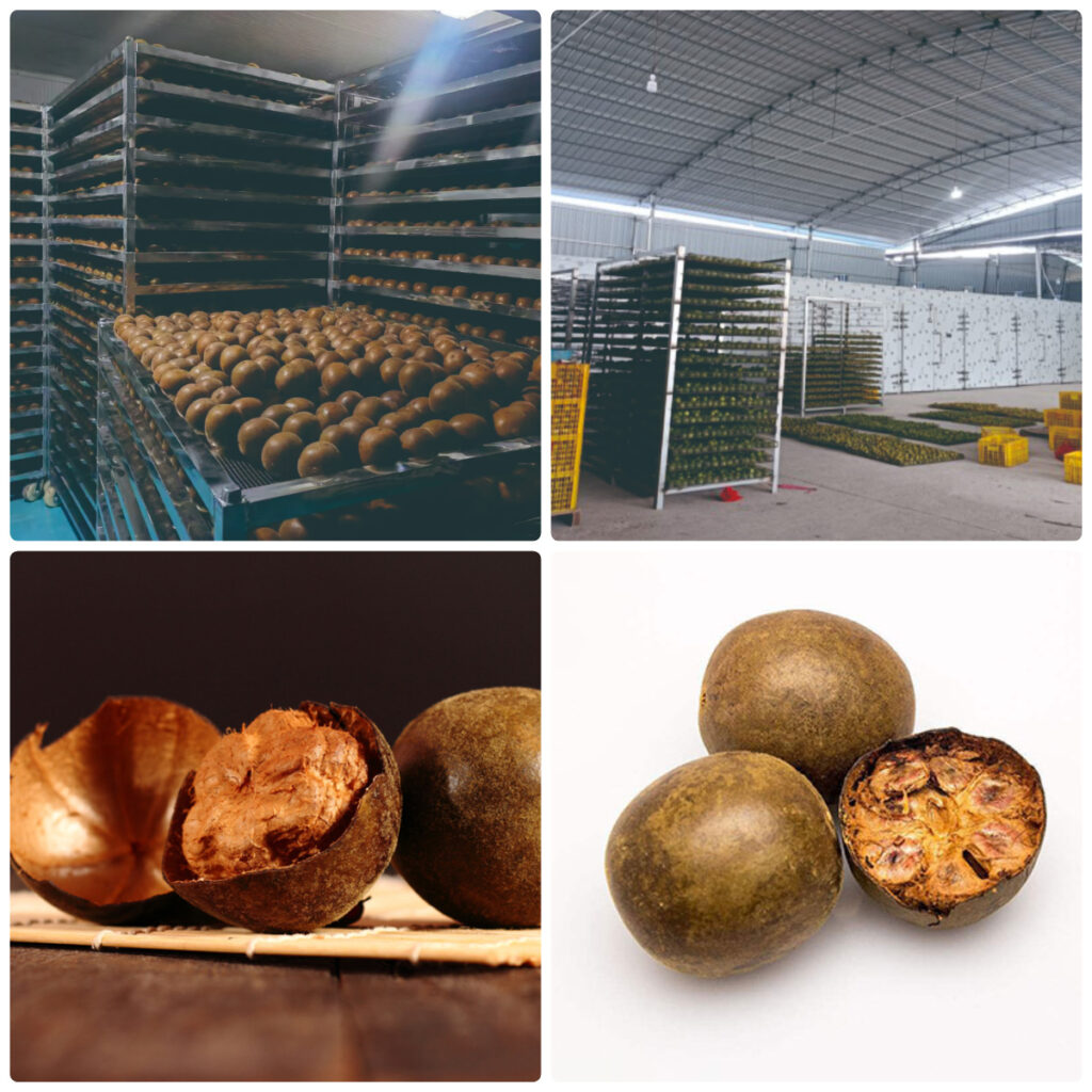 MeiYa Heat Pump Dryer: The Advanced Drying Solution for Luo Han Guo (Monk Fruit)