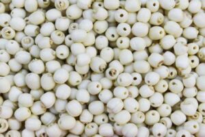 MeiYa Heat Pump Dryer: The Professional Solution for Lotus Seeds Drying