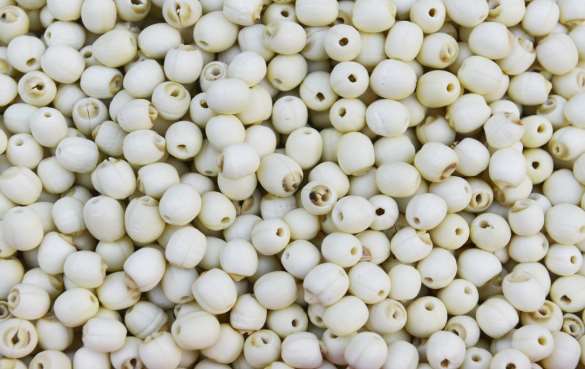 MeiYa Heat Pump Dryer: The Professional Solution for Lotus Seeds Drying