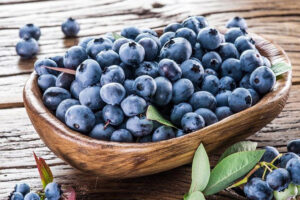 MeiYa Heat Pump Dryer: The Professional Solution for Blueberries Drying