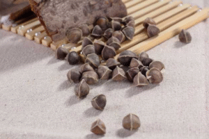 MeiYa Heat Pump Dryer: The Professional Solution for Moringa Seeds Drying